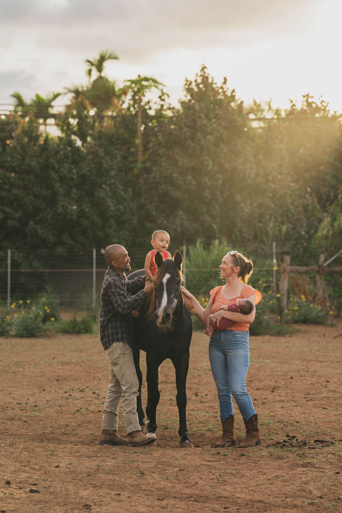 Rescued horse being cared for at Pauole Hawaii Island Equine Rescue sanctuary