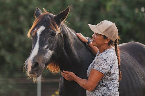 Volunteers and family interacting with a rescued horse at the sanctuary